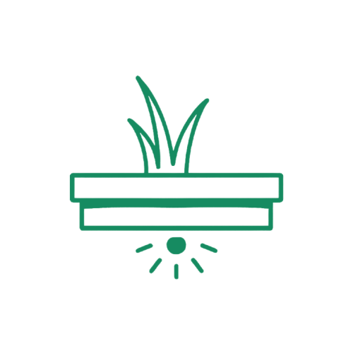 Bullet icon